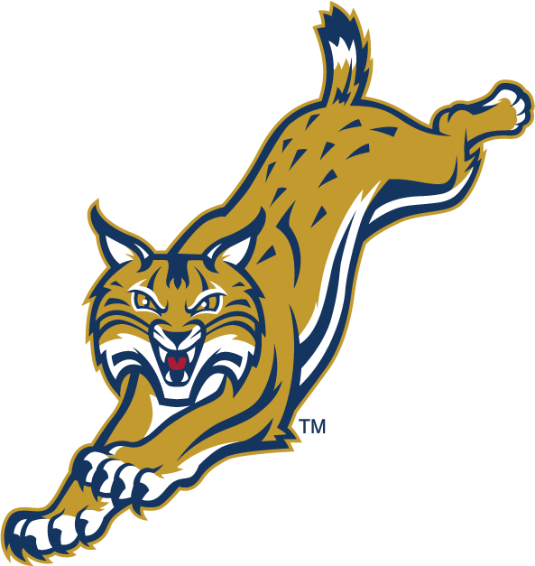 Quinnipiac Bobcats 2002-Pres Alternate Logo v6 iron on transfers for clothing